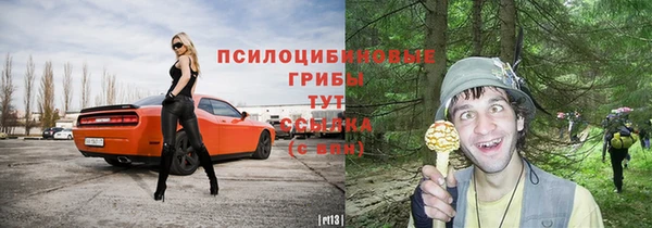 прущая мука Абаза